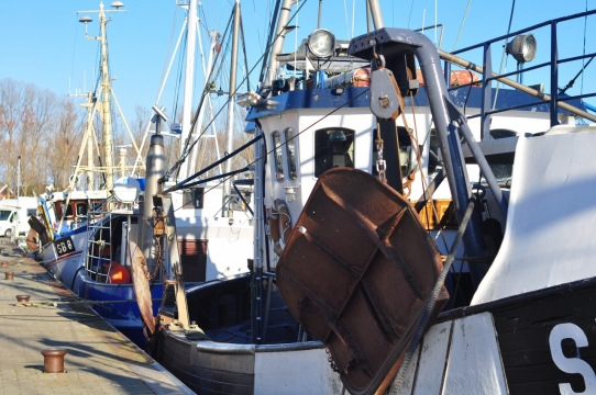 阳光蓝色天空大海岸边轮船