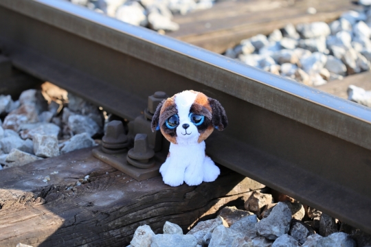 铁轨旁的卡通茶杯犬创意设计