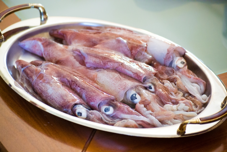 餐盘中新鲜生鱿鱼美食食材食物摄影