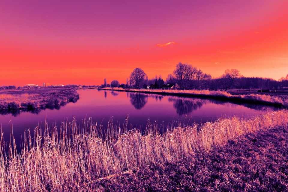 紫色滤镜小湖边野草风景