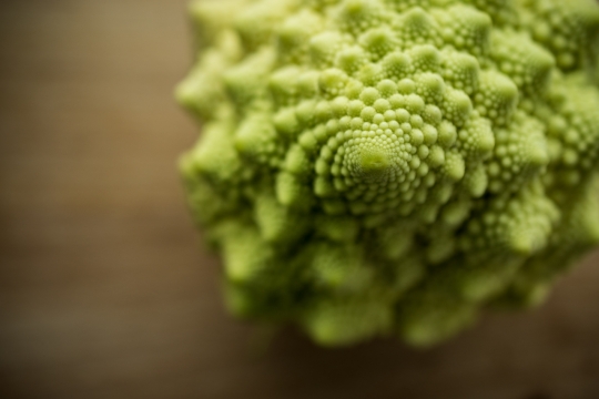 虚化背景木制桌面自然绿色植物