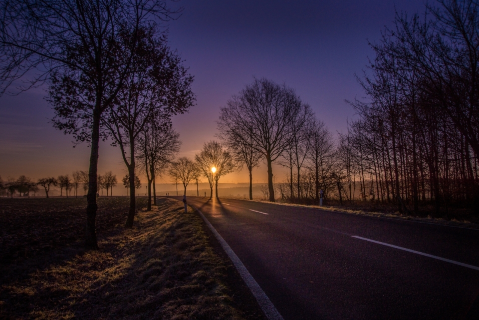 夕阳下道路和两旁树木唯美摄影