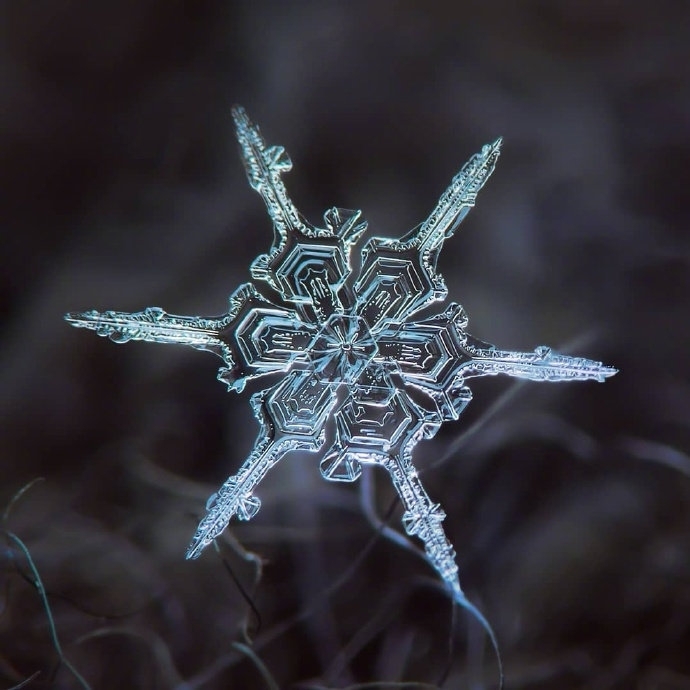 微镜头下的雪花图片