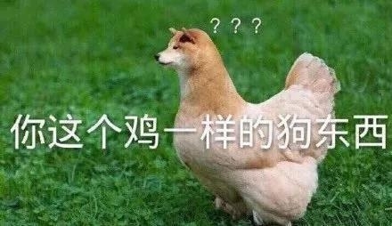 春节搞笑表情包图片