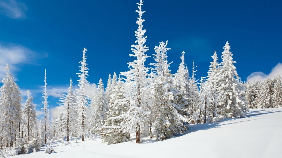 清新唯美冬日雪景高清桌面壁纸