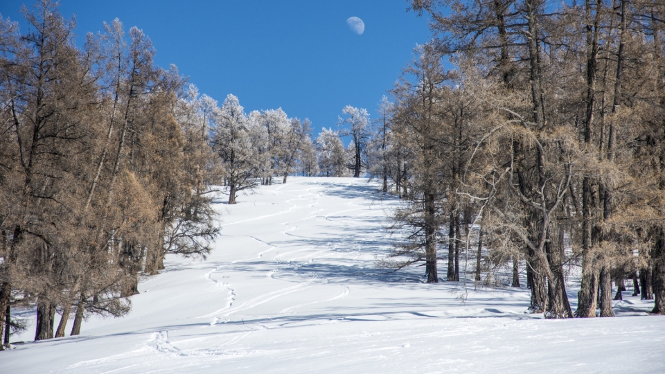 新疆禾木冬季雪景自然风光优美风景高清桌面壁纸