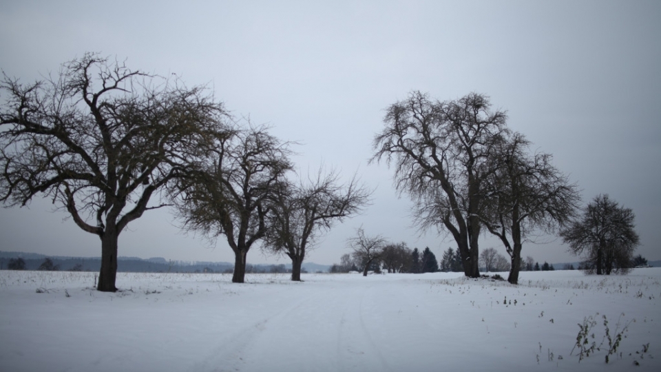 白雪风景自然风光优美夏日清凉高清桌面壁纸