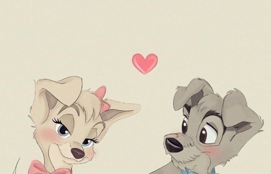 唯美动物爱情情侣写真图片