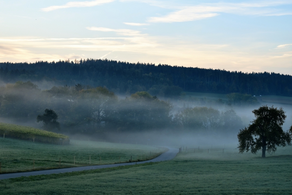 早晨日出雾环绕山峰树林