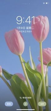 2021年唯美清新手机壁纸图片