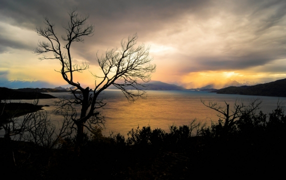 傍晚夕阳天空自然湖泊树木植物