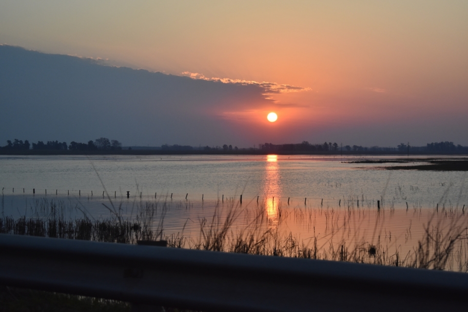 湖边摇曳草堆眺望天空云彩夕阳风景