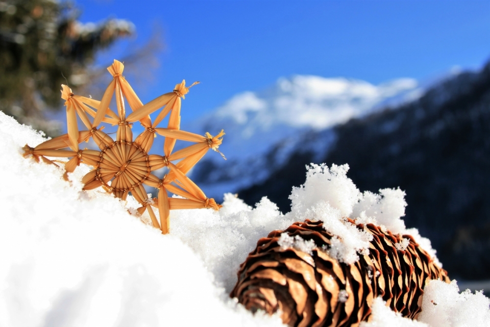 蓝天雪山埋在雪地里的松果和雪花工艺品