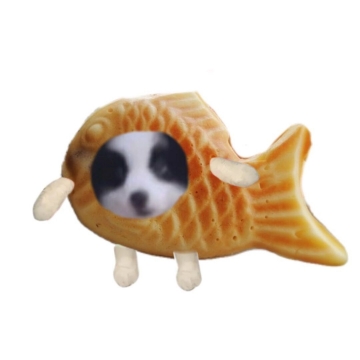 白底头像写真图片