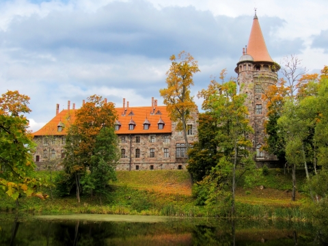 大自然树林中建造房屋建筑外景