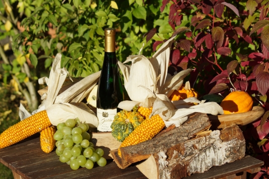 傍晚阳光下木制桌面新鲜美味玉米葡萄红酒