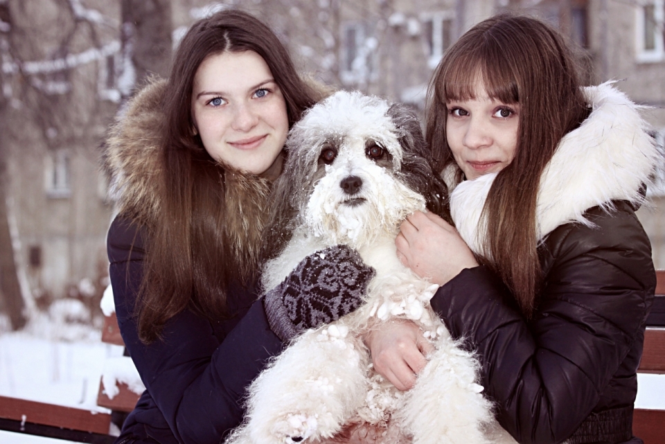 冬天雪景长椅抱狗的两个美女