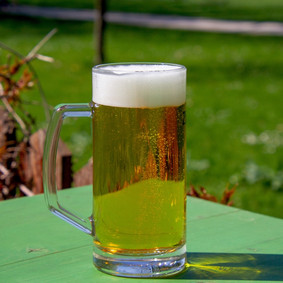 阳光户外绿色木制桌面啤酒杯美味啤酒