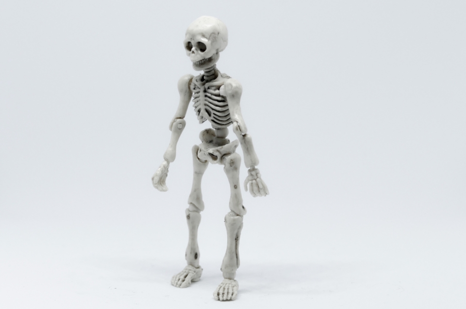 白色背景人类骷髅骨架玩具模型