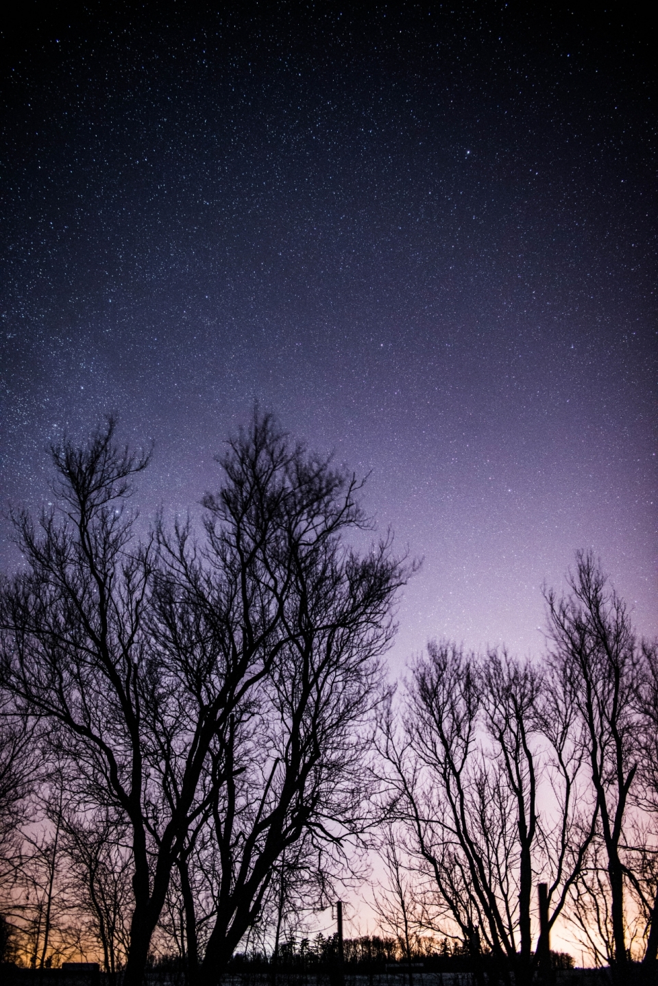 丛林夜空下精美星空夜景