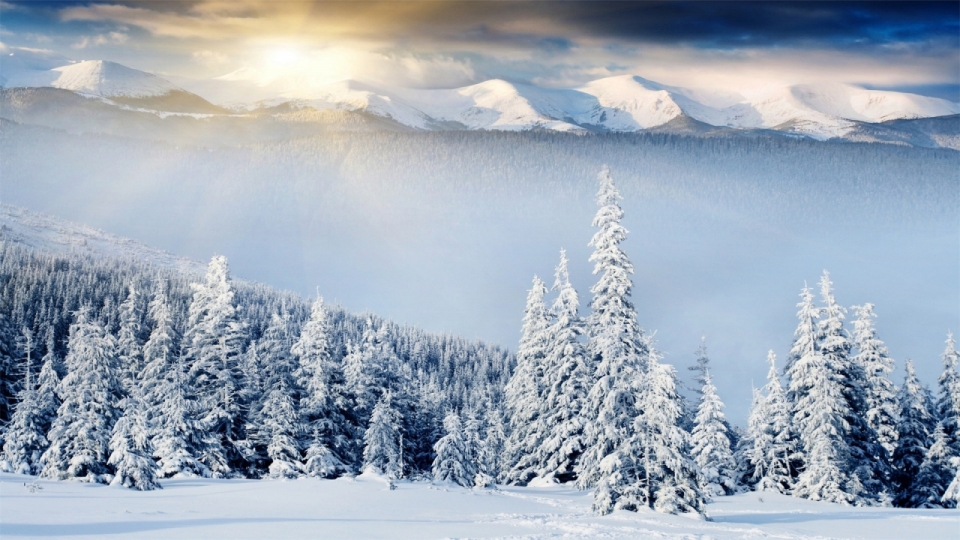 唯美冬日雪景风景高清桌面壁纸