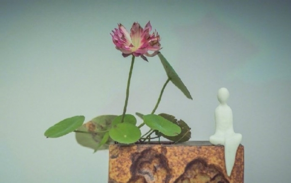 唯美清新荷花图片