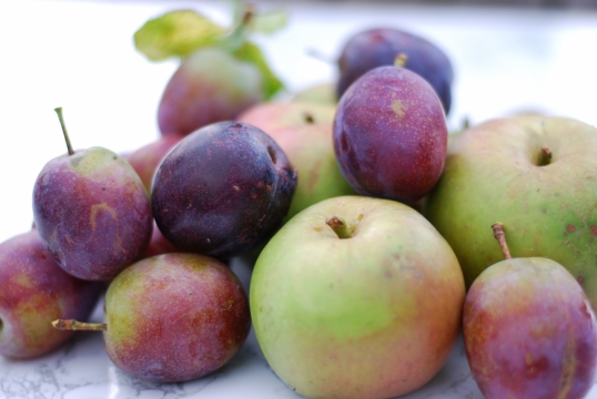 新鲜采摘水果诱人微距摆拍