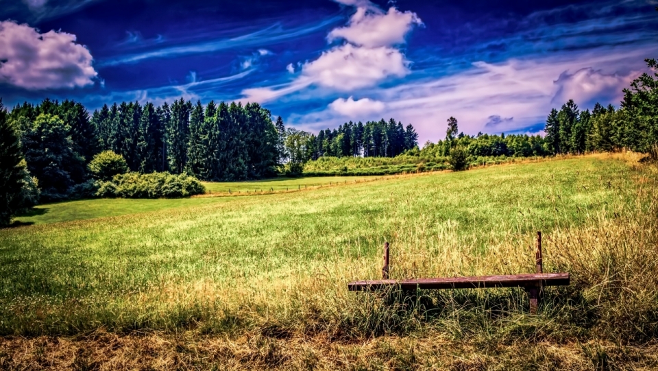 蓝天白云树林前的草地上木椅摄影