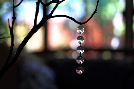 唯美夜晚灯光虚化背景树枝上透明玻璃装饰