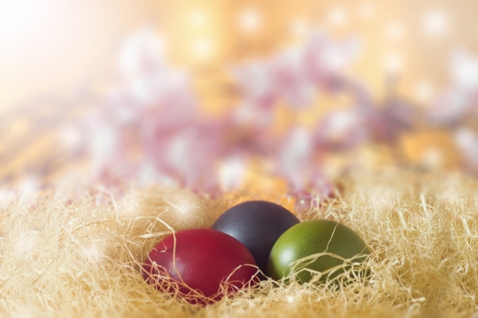 梦幻唯美背景鸟巢中彩色鸟蛋装饰