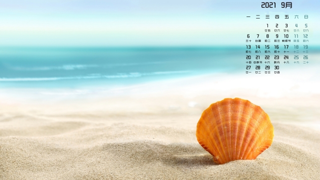 2021年9月海滩贝壳高清桌面日历壁纸