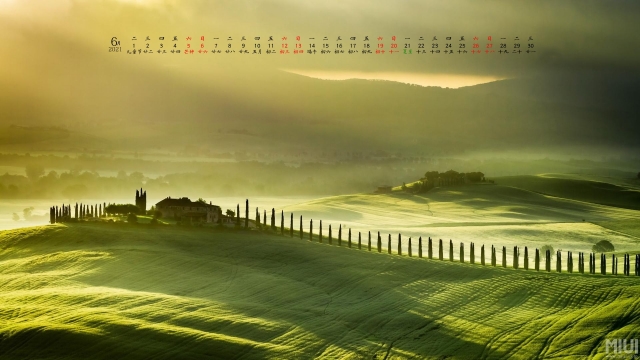 2021年6月清新绿色护眼高清日历壁纸