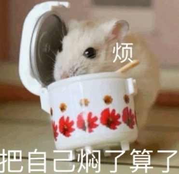 搞笑幽默表情包图片