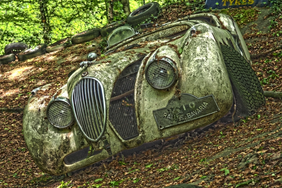阳光自然森林废弃污损轿车