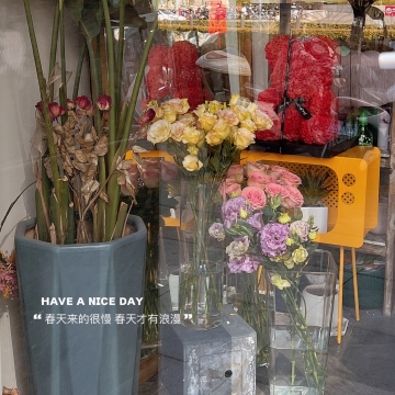 唯美治愈系写真图片