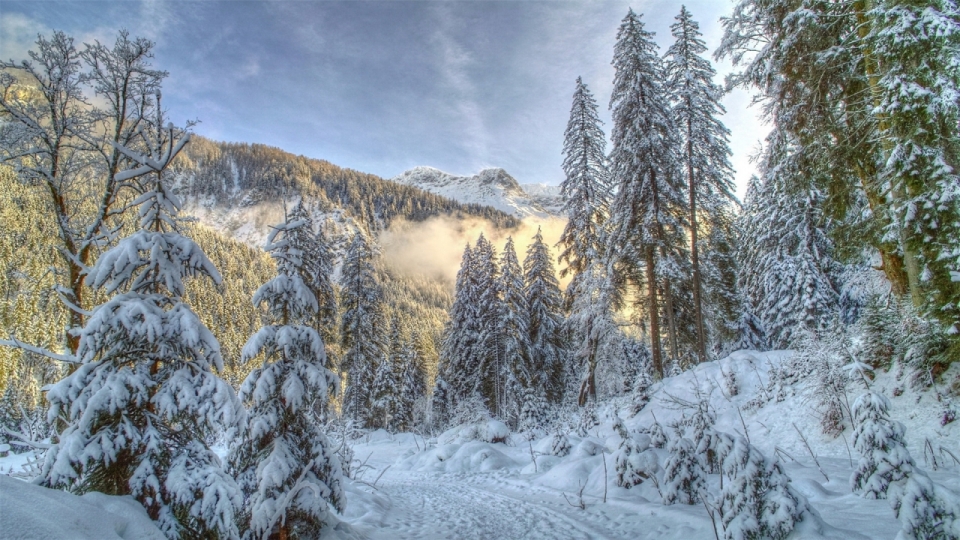 唯美冬日雪景风景高清桌面壁纸