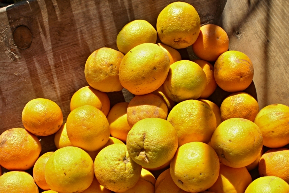 一木箱子的橙子水果美食摄影