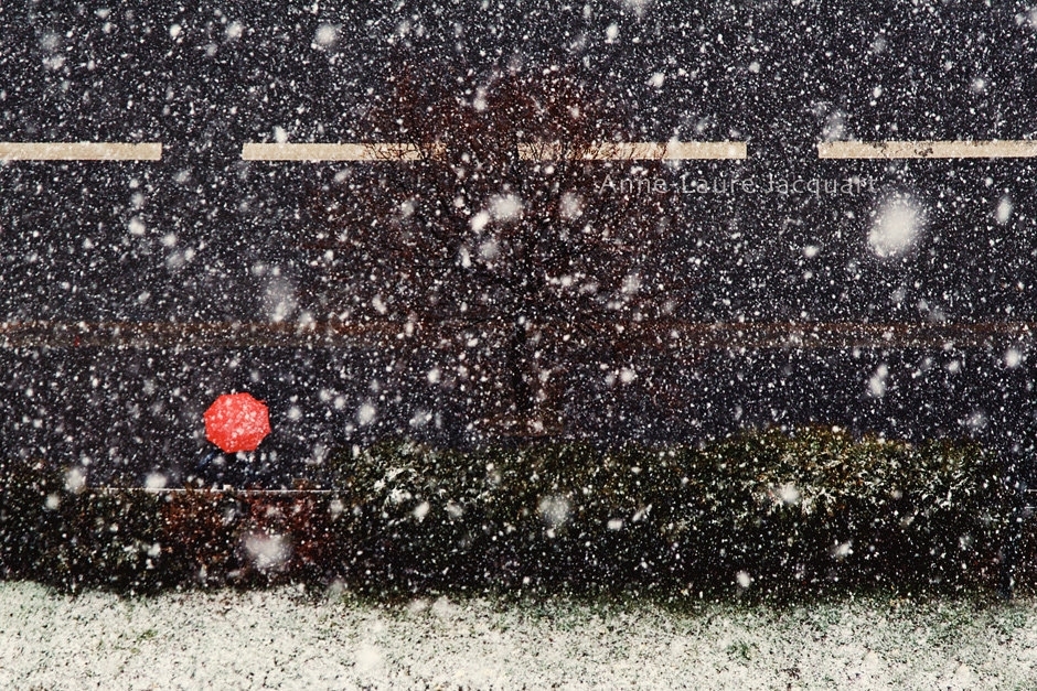 唯美浪漫雪花写真图片