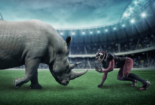 体育场犀牛角斗人物创意特效