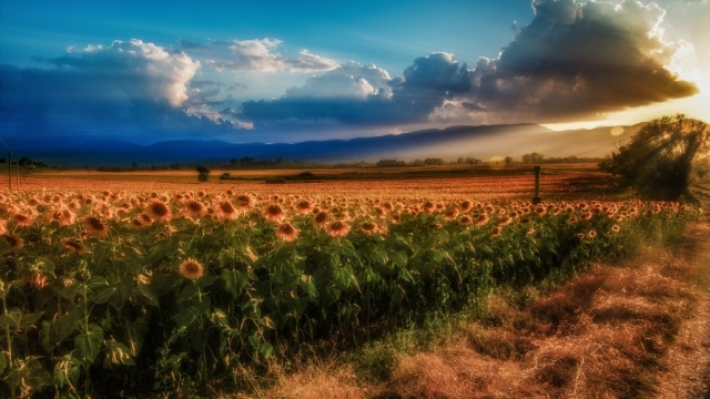 意大利普拉托风景高清桌面壁纸
