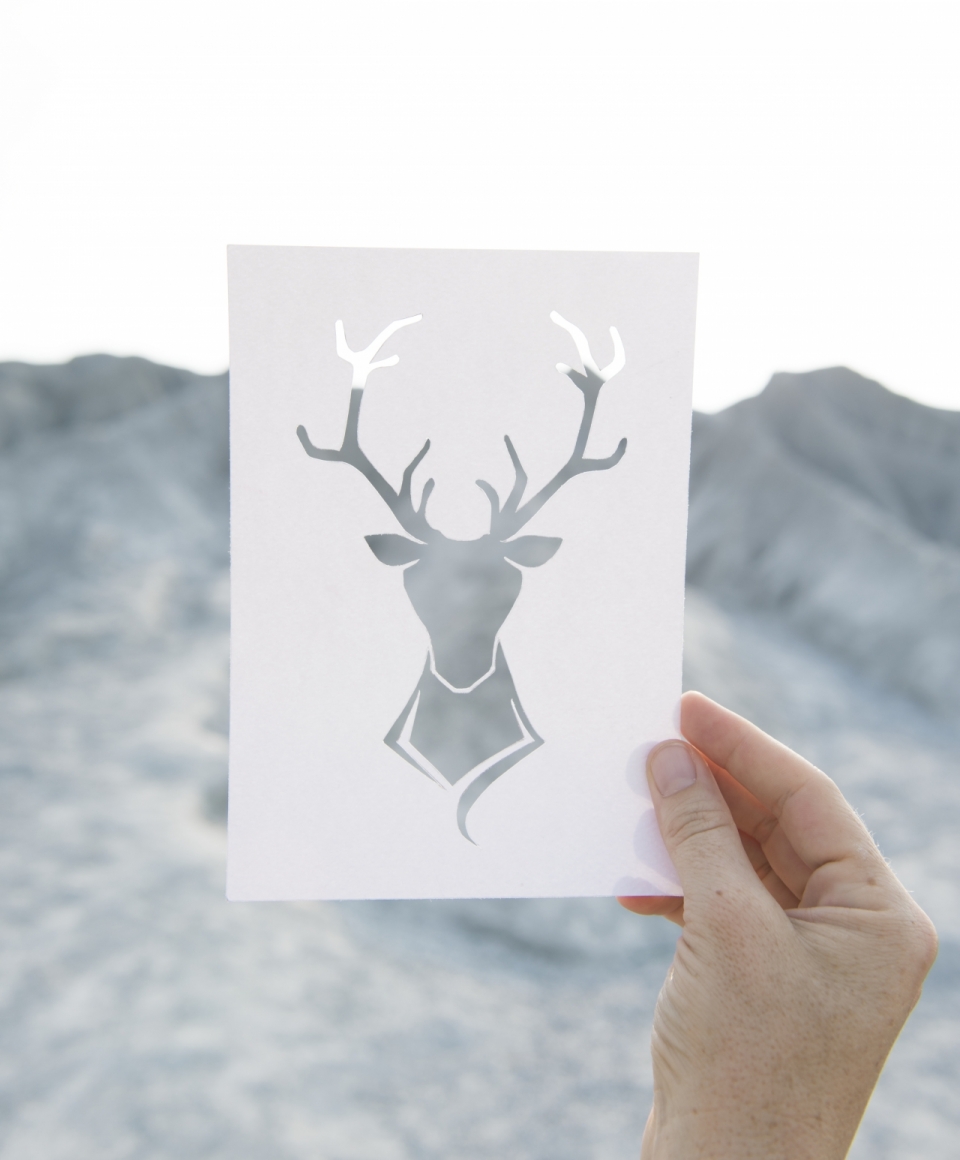 白色A4纸上银色鹿头创意插图