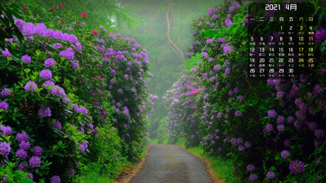 2021年4月高清桌面日历壁纸
