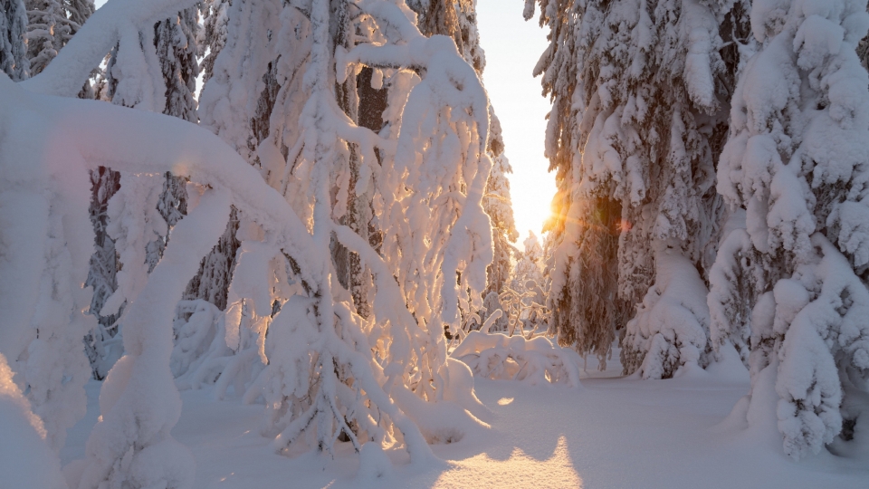 北方冬季雪景白雪皑皑自然风光优美风景高清桌面壁纸