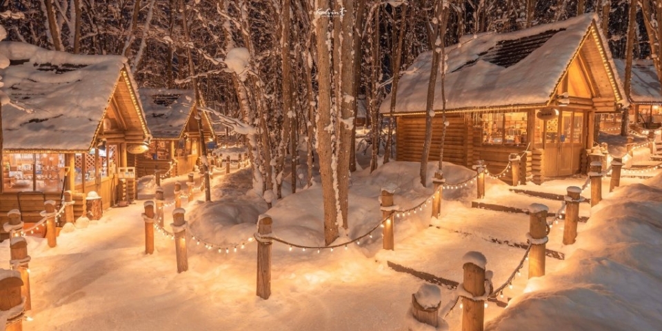 唯美冬天雪景高清风景写真图片