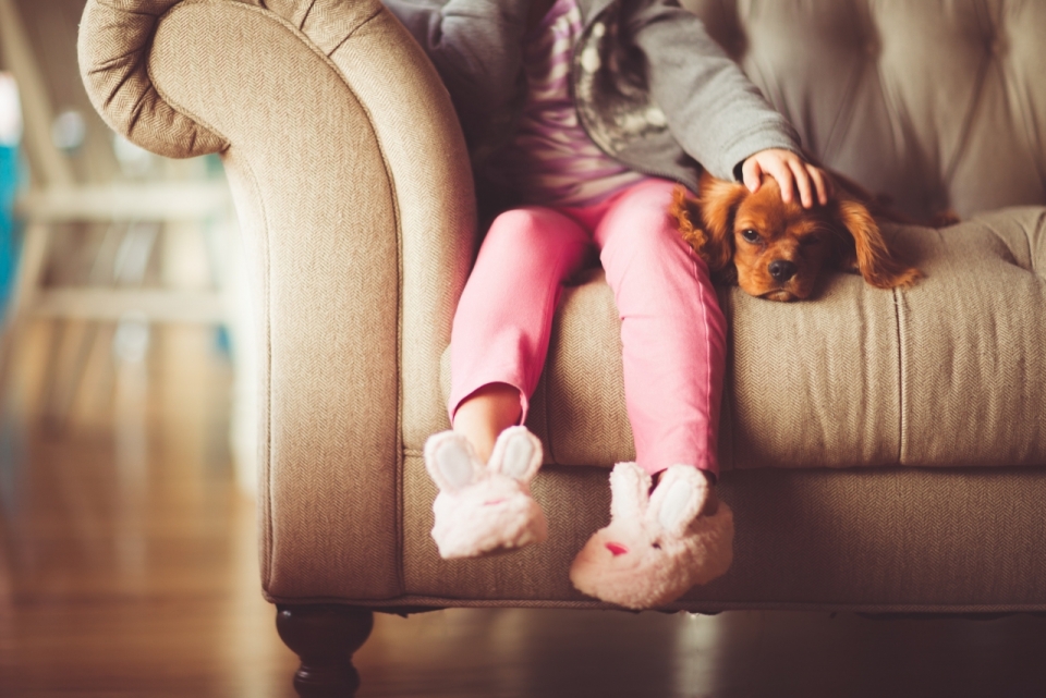 小女孩坐在沙发上穿可爱兔子鞋抚摸小狗狗