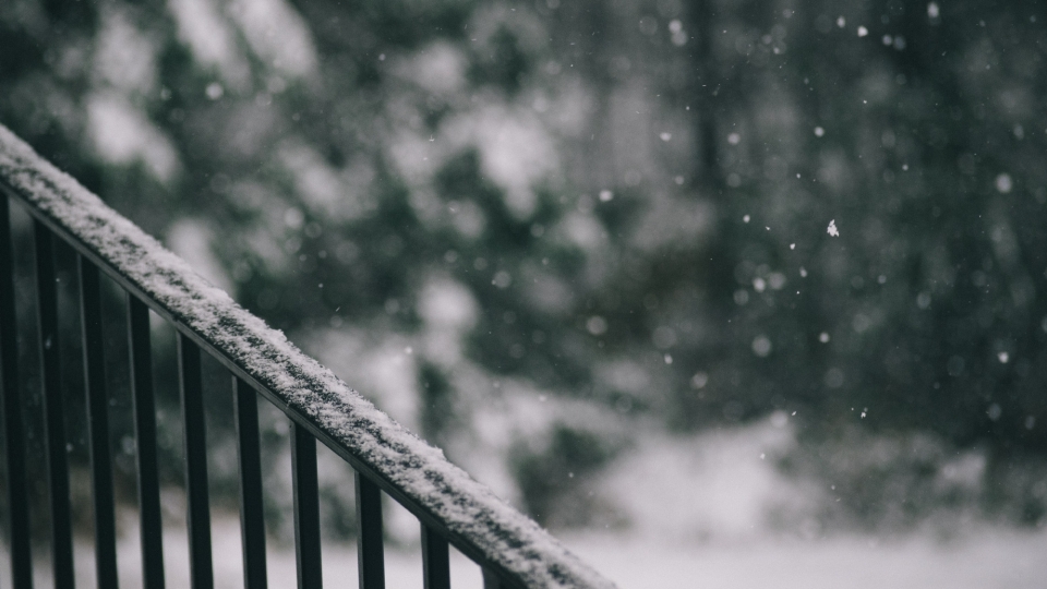 深冬飘落的雪花美景自然风光高清壁纸