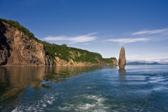 清澈大海悬崖茂密绿色植物风光
