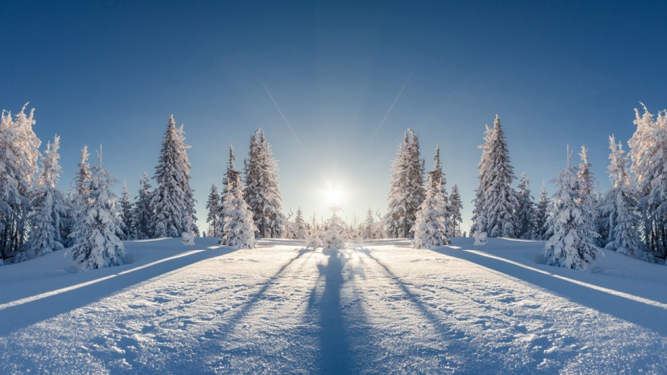 唯美冬日雪景风景高清桌面壁纸