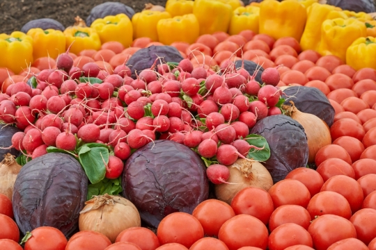 户外新鲜美味健康鲜艳彩色蔬菜食物