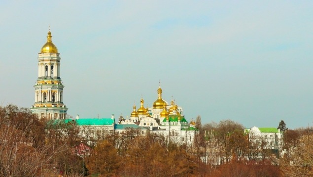 晴朗天空小镇公园植物美景